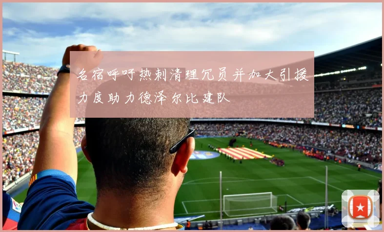 名宿呼吁热刺清理冗员并加大引援力度助力德泽尔比建队