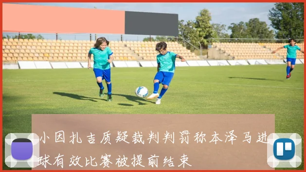 小因扎吉质疑裁判判罚称本泽马进球有效比赛被提前结束