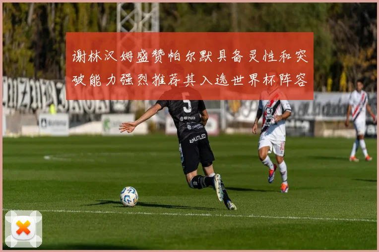 谢林汉姆盛赞帕尔默具备灵性和突破能力强烈推荐其入选世界杯阵容