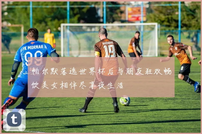 帕尔默落选世界杯后与朋友狂欢畅饮美女相伴尽享夜生活