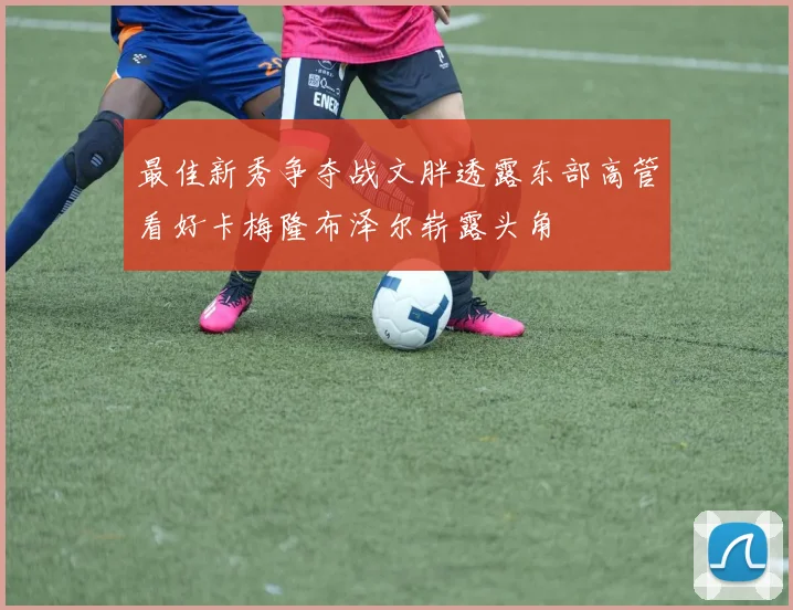 最佳新秀争夺战文胖透露东部高管看好卡梅隆布泽尔崭露头角