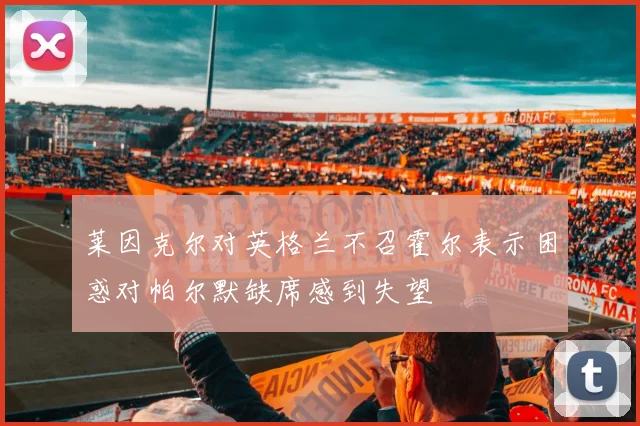 莱因克尔对英格兰不召霍尔表示困惑对帕尔默缺席感到失望